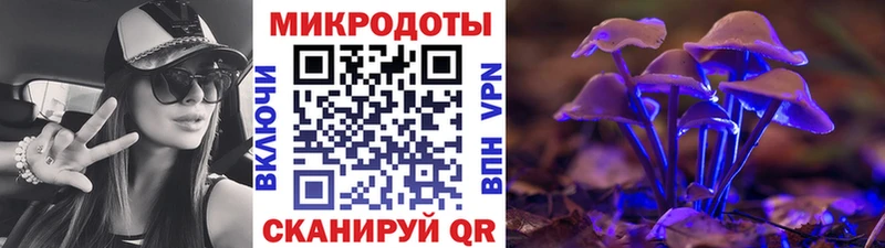 Галлюциногенные грибы Cubensis  Тайга 
